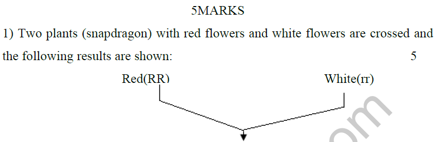 CBSE_Class_12_Biology_Inheritance_Variation_1