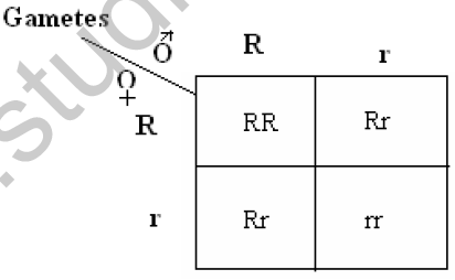 CBSE_Class_12_Biology_Inheritance_Variation_Ans_3