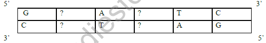 CBSE_Class_12_Biology_Principles_And_Processes_2