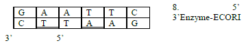 CBSE_Class_12_Biology_Principles_And_Processes_3