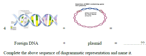 CBSE_Class_12_Biology_Principles_And_Processes_4.