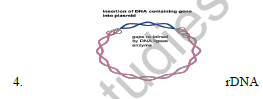 CBSE_Class_12_Biology_Principles_And_Processes_5