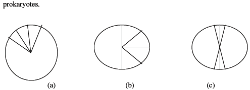 CBSE_Class_12_Biology_biodiversity_Set_A_2