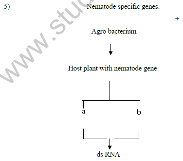 CBSE_Class_12_Biology_biotechnology_&_its_Appli_1