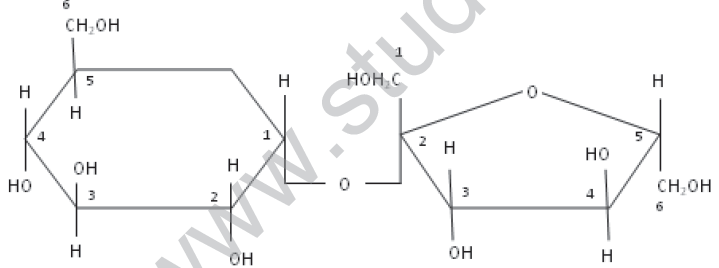 CBSE_Class_12_Chemistry_Bio_Molecules_1