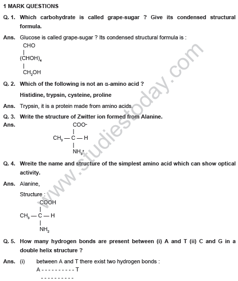 CBSE_Class_12_Chemistry_Bio_Molecules_Set_A_1