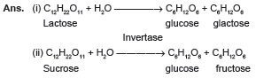 CBSE_Class_12_Chemistry_Bio_Molecules_Set_A_2