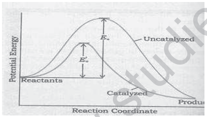 CBSE_Class_12_Chemistry_Kinetic_Set_B_2