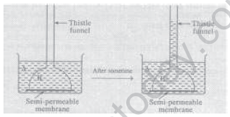 CBSE_Class_12_Chemistry_Solution_3