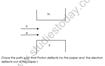 CBSE_Class_12_Physics_Magnetic_Effect_of_Electric_effect_10