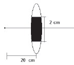 CBSE_Class_12_Physics_Optics_15