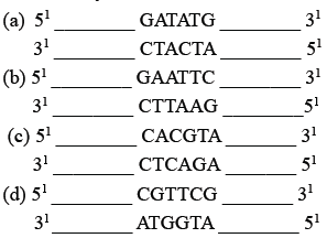 NEET Biology Biotechnology Principles and Processes MCQs-5