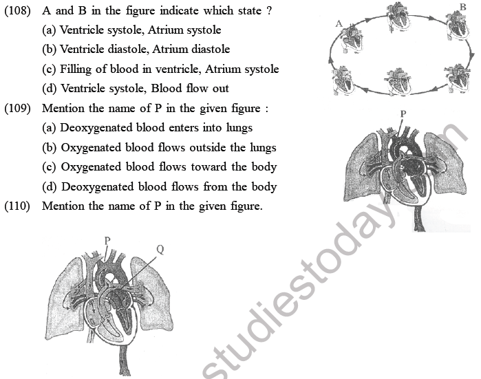 NEET Biology Body Fluids and Circulation MCQs Set A-6