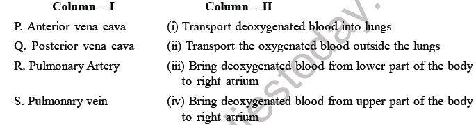 NEET Biology Body Fluids and Circulation MCQs Set A-7