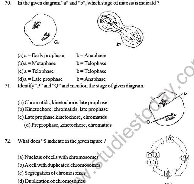 NEET Biology Cell Cycle MCQ-5