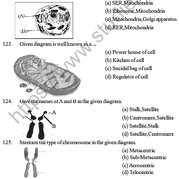 NEET Biology Cell Structure MCQ-6