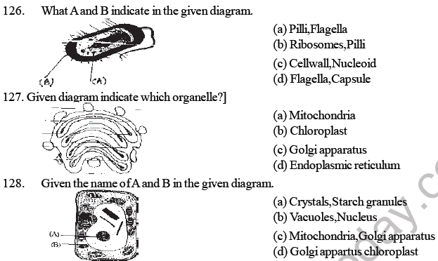 NEET Biology Cell Structure MCQ-7