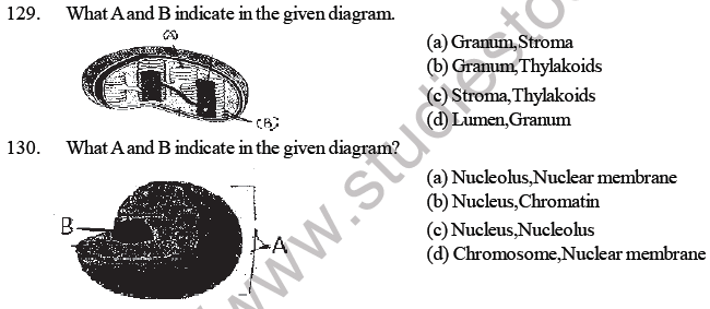 NEET Biology Cell Structure MCQ-8