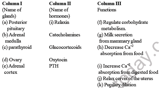 NEET Biology Chemical Coordination and Control MCQs Set A-2