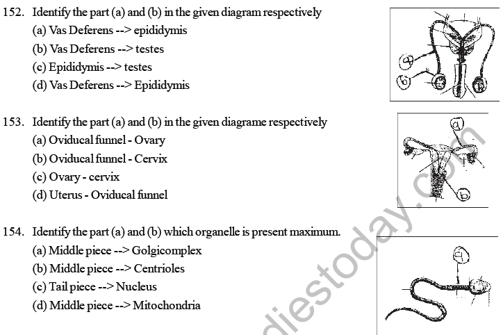 NEET Biology Human Reproduction MCQs Set B-154