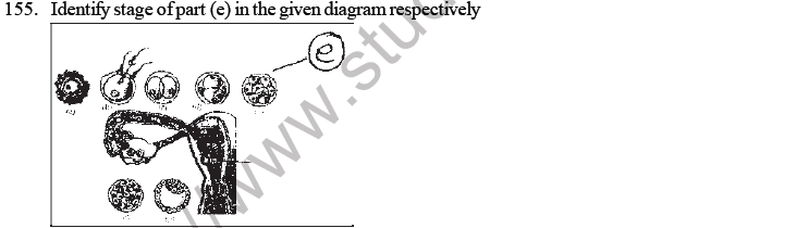 NEET Biology Human Reproduction MCQs Set B-155