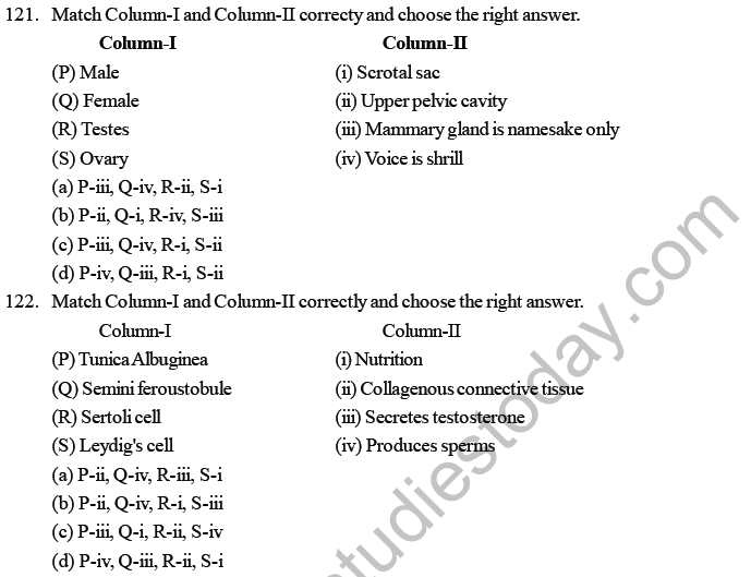 NEET Biology Human Reproduction MCQs Set B