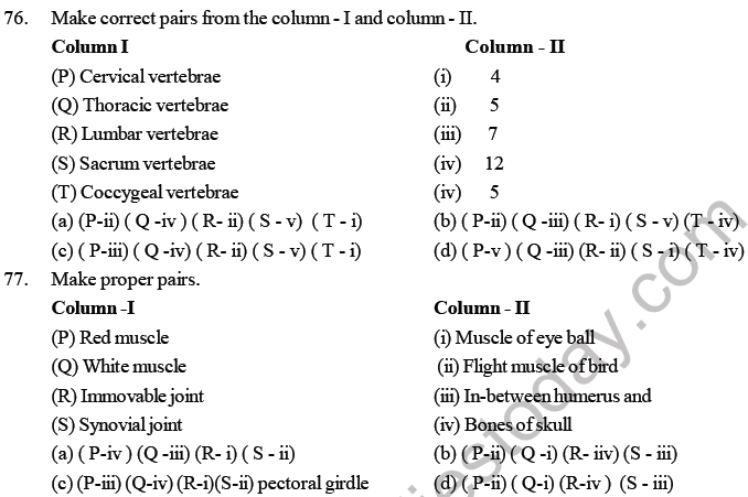 NEET Biology Locomotion and Movement MCQs Set B