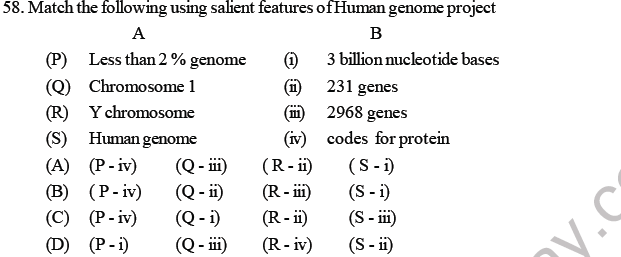 NEET Biology Molecular Basis of Inheritance MCQs Set B