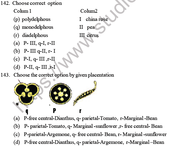 NEET Biology Morphology of Plants MCQs Set B-10