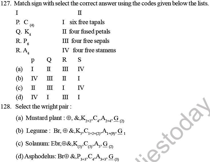 NEET Biology Morphology of Plants MCQs Set B-3