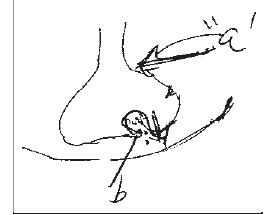 NEET Biology Neural Control and Coordination MCQs Set B