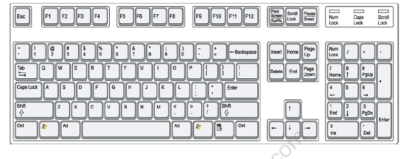 CBSE Class 1 Computer Science Worksheet - Operating a keyboard