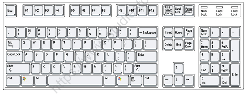 CBSE Class 1 Computer Science Worksheet - Operating a keyboard