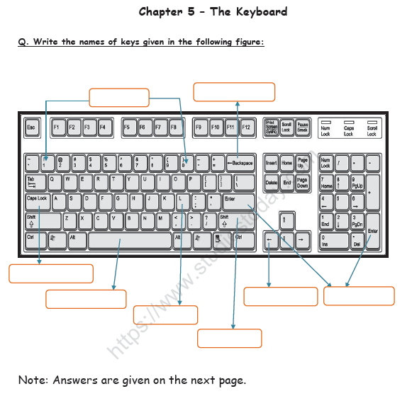 CBSE Class 1 Computer Science Worksheet - The Keyboard 