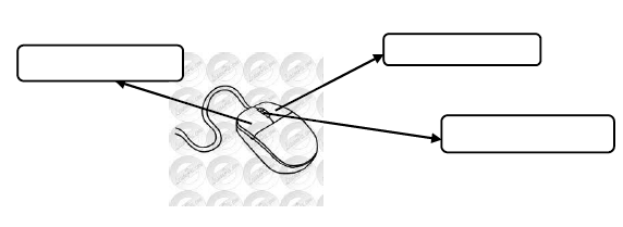 CBSE Class 1 Computer Science Worksheet - Using a Mouse