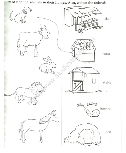 CBSE Class 1 EVS Animal Homes Worksheet