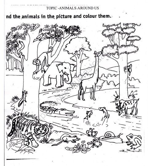 CBSE Class 1 EVS Worksheet - Animals Around Us (1) 1