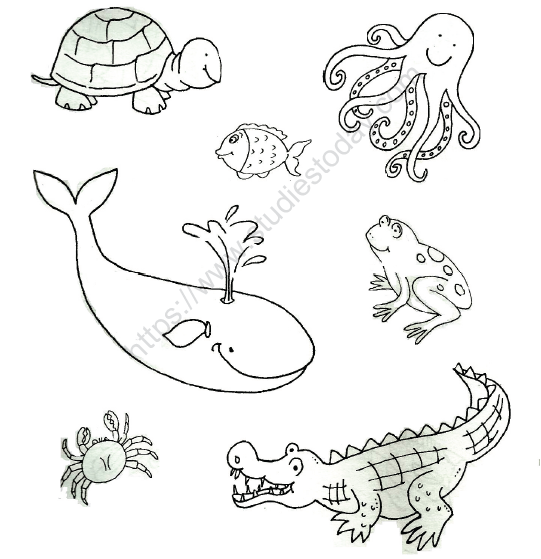 CBSE Class 1 EVS Animals Land And Water Worksheet