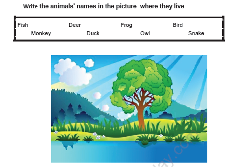 CBSE Class 1 EVS Worksheet - Animals around us 2