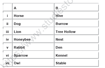 CBSE Class 1 EVS Worksheet - Animals around us 3