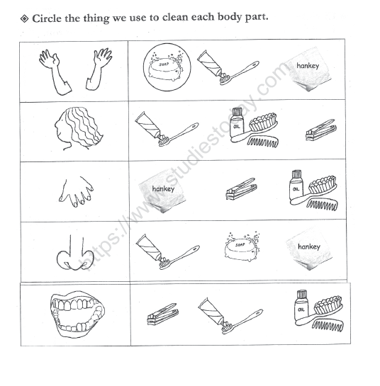 CBSE Class 1 EVS Worksheet - Clean Body