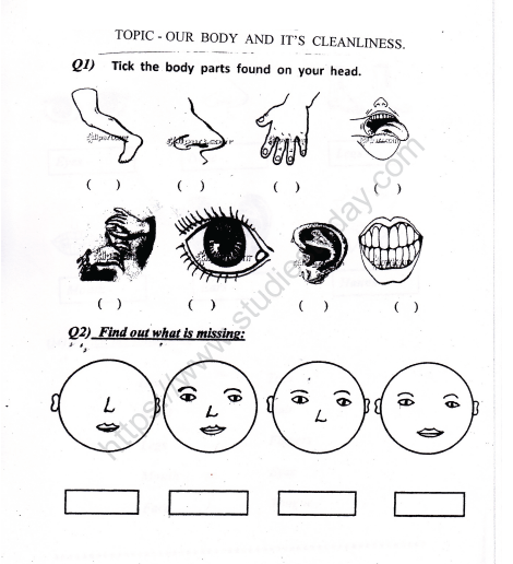 CBSE Class 1 EVS Worksheet - Our Body and Cleanliness (2) 1