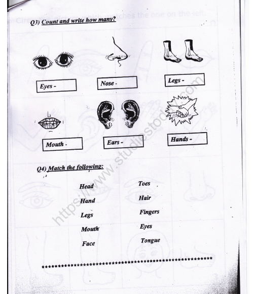 CBSE Class 1 EVS Worksheet - Our Body and Cleanliness (2) 2