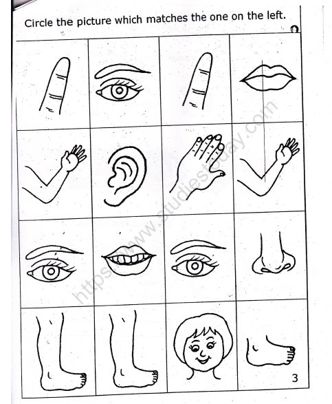 CBSE Class 1 EVS Worksheet - Our Body and Cleanliness (2) 3