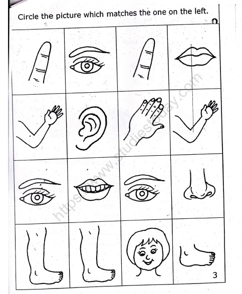 CBSE Class 1 EVS Our Body And Cleanliness Worksheet Set B Practice