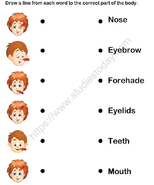 cbse class 1 evs our body worksheet practice worksheet for