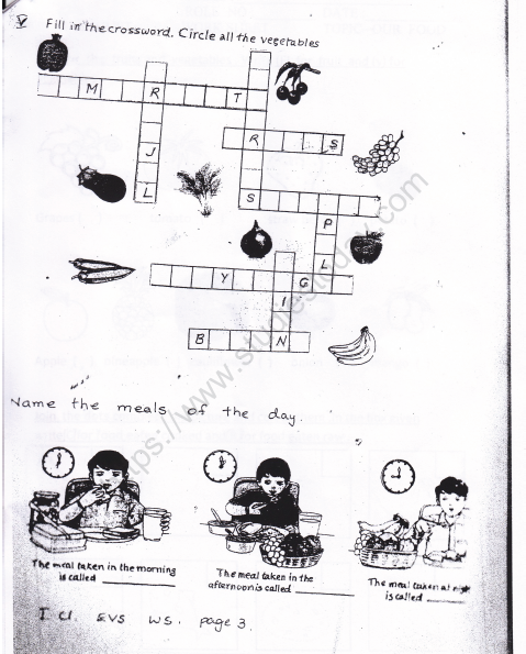 CBSE Class 1 EVS Worksheet - Our Food (1) 2