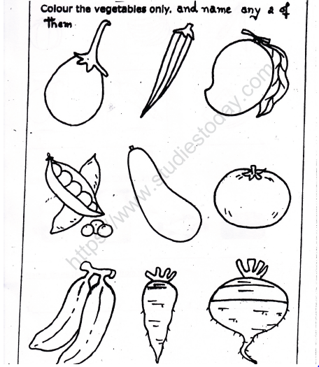 CBSE Class 1 EVS Worksheet - Our Food (2) 1