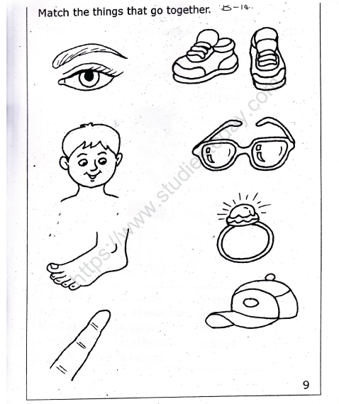 cbse class 1 evs parts of the body worksheet practice