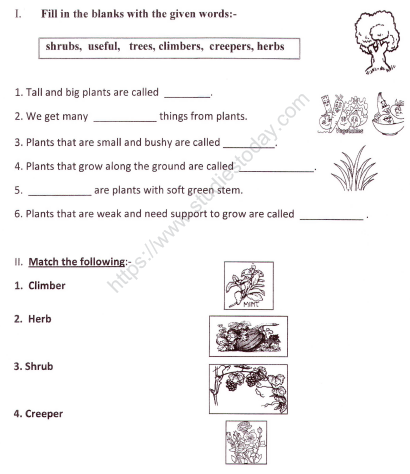 CBSE Class 1 EVS Worksheet - Plants Around Us (1)